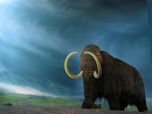 whoolly mammoth by Rob Pongsajapan